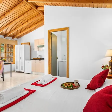 102 Bright With Pool View شقة